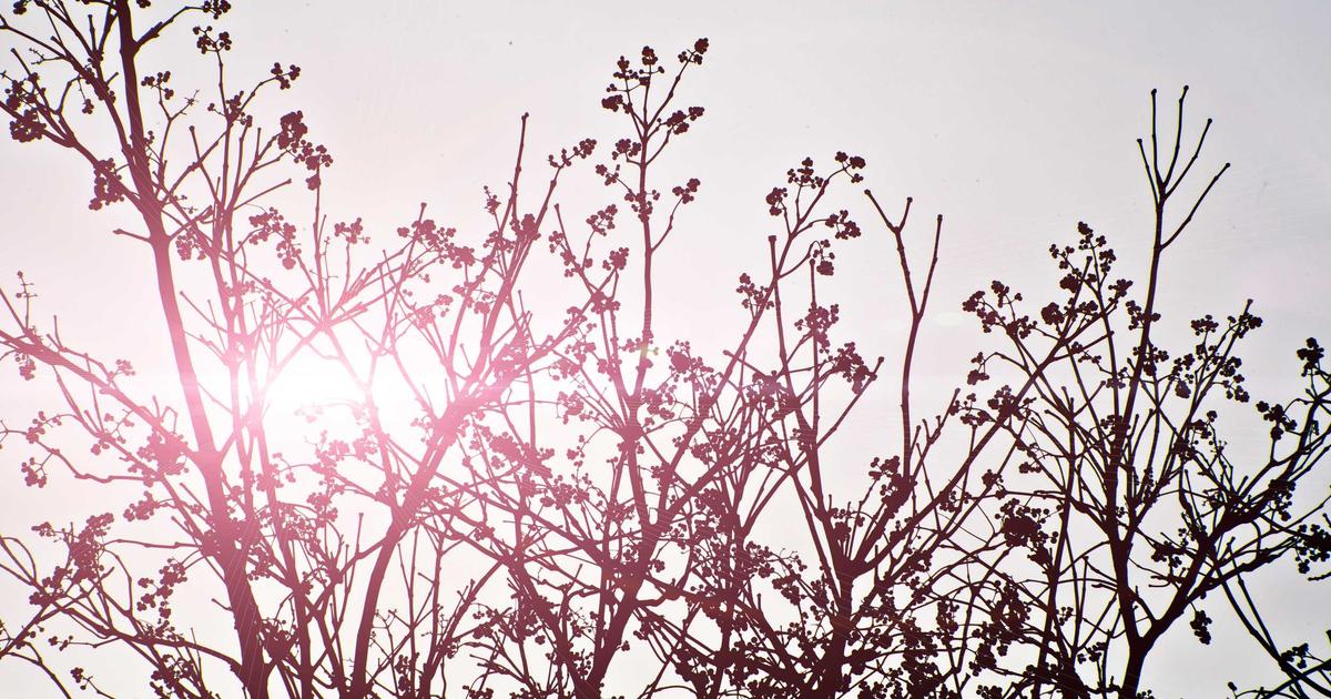 Featured: Travel Scams That Drained My Bank Account in Rome, Bangkok, and Marrakech (And How to Spot Them Before You Pay)